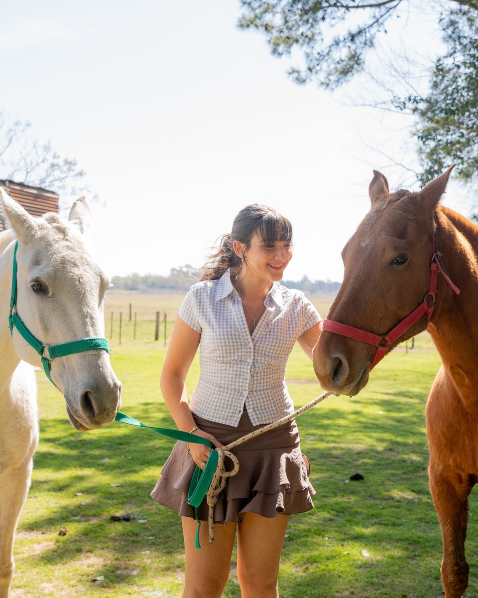 Coni con dos caballos